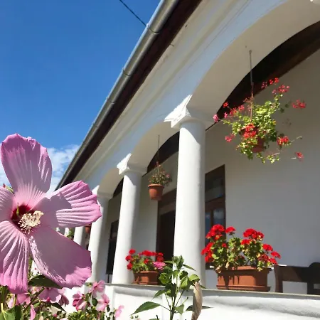 Heni Vendégháza Maison d'hôtes
