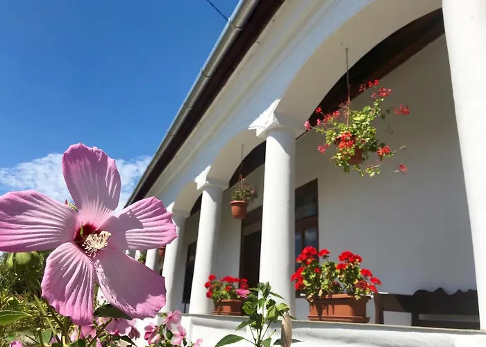 Heni Vendégháza Casa de hóspedes