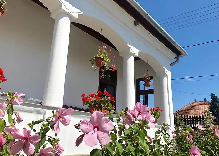 Casa de hóspedes Heni Vendégháza Vadna